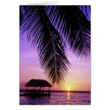 John Pennekamp State Park, Florida Keys, Key Greeting Card