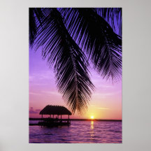 John Pennekamp State Park, Florida Keys, Key Print