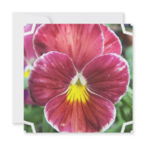 Johnny Jump Up Flowers Invitations
