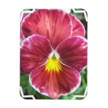 Johnny Jump Up Flowers Premium Magnet