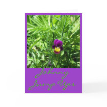 JOHNNY JUMP UPS cards