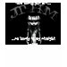Ladies Destroyed T-Shirt
