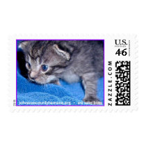 johnsoncoountyhumane.org - we save lives postage by Dodgermy johnsoncoountyhumane.org - we save lives postage