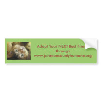 johnsoncountyhumane.org - we save lives bumper stickers by Dodgermy johnsoncountyhumane.org - we save lives bumper stickers