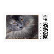 johnsoncountyhumane.org - we save lives postage by Dodgermy johnsoncountyhumane.org - we save lives postage
