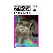 johnsoncountyhumane.org - we save lives postage by Dodgermy johnsoncountyhumane.org - we save lives postage