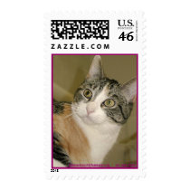 johnsoncountyhumane.org - we save lives postage by Dodgermy johnsoncountyhumane.org - we save lives postage