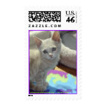 johnsoncountyhumane.org  -  we save lives postage