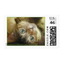 johnsoncountyhumane.org - we save lives postage by Dodgermy johnsoncountyhumane.org - we save lives postage