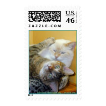 johnsoncountyhumane.org - we save lives postage by Dodgermy johnsoncountyhumane.org - we save lives postage