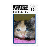 johnsoncountyhumane.org - we save lives postage by Dodgermy johnsoncountyhumane.org - we save lives postage
