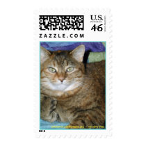 johnsoncountyhumane.org - we save lives postage by Dodgermy johnsoncountyhumane.org - we save lives postage