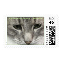 johnsoncountyhumane.org - we save lives postage by Dodgermy johnsoncountyhumane.org - we save lives postage