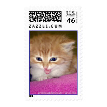 johnsoncountyhumane.org - we save lives postage by Dodgermy johnsoncountyhumane.org - we save lives postage