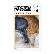 johnsoncountyhumane.org - we save lives postage by Dodgermy johnsoncountyhumane.org - we save lives postage