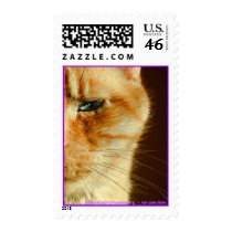 johnsoncountyhumane.org - we save lives postage by Dodgermy johnsoncountyhumane.org - we save lives postage