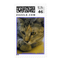 johnsoncountyhumane.org - we save lives postage by Dodgermy johnsoncountyhumane.org - we save lives postage