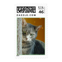 johnsoncountyhumane.org - we save lives postage by Dodgermy johnsoncountyhumane.org - we save lives postage