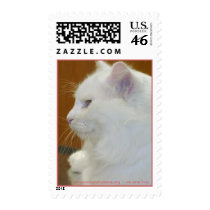 johnsoncountyhumane.org - we save lives postage by Dodgermy johnsoncountyhumane.org - we save lives postage