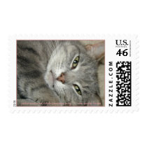 johnsoncountyhumane.org - we save lives postage by Dodgermy johnsoncountyhumane.org - we save lives postage