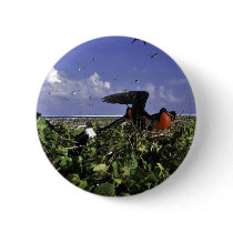 Johnston Island National Wildlife Refuge Pinback Buttons