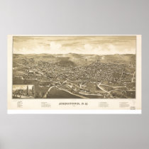 Johnstown New York 1888 Antique Panoramic Map posters