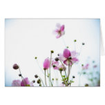 Joie de Vivre cards