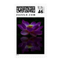 Joie de Vivre postage by KahunaLuna Joie de Vivre postage