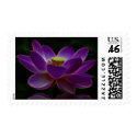 Joie de Vivre postage by KahunaLuna Joie de Vivre postage
