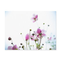 Joie de Vivre Postcards
