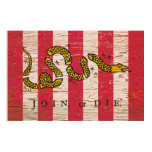 Join or Die Print