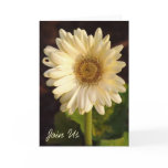 Join Us Card