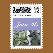 Join Us postage