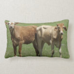 Joined Together pillows