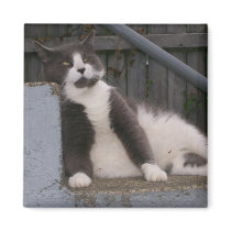 JoJo Magnet