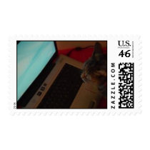 JokeAppTv Cat stamp!