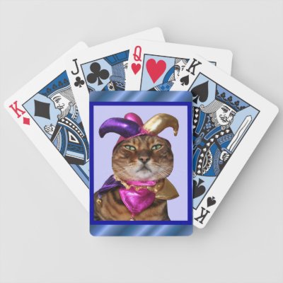 Cat Deck