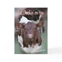 Jolee-Thinking of You-or other occasions-customize Greeting Card