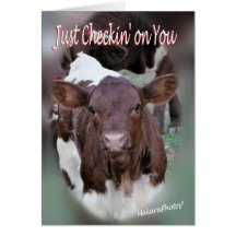Jolee-Thinking of You-or other occasions-customize Greeting Card
