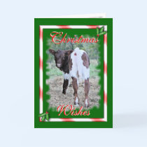JoleeChristmas-customize cards by MakaraPhotos JoleeChristmas-customize cards