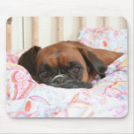 Jolie snuggled in the duvet mouse mat