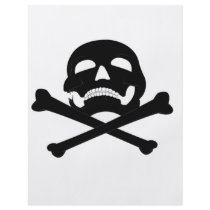 Jolly-Roger #4 flyers