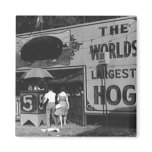 Jolly World's Largest Hog Vintage Carnival Photo Magnets