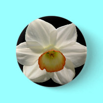 Jonquil/Daffodil buttons by Artists4God Jonquil/Daffodil buttons