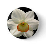 Jonquil/Daffodil Pins