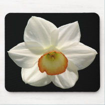 Jonquil/Daffodil mousepads