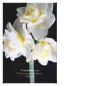 Jonquil Flower - Ecclesiastes 3:1 zazzle_wrappedcanvas