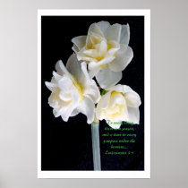 Jonquil Flower - Ecclesiastes 3:1 posters