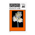 Jonquil Flower stamp