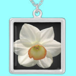 Jonquil Sterling Silver Necklace necklaces